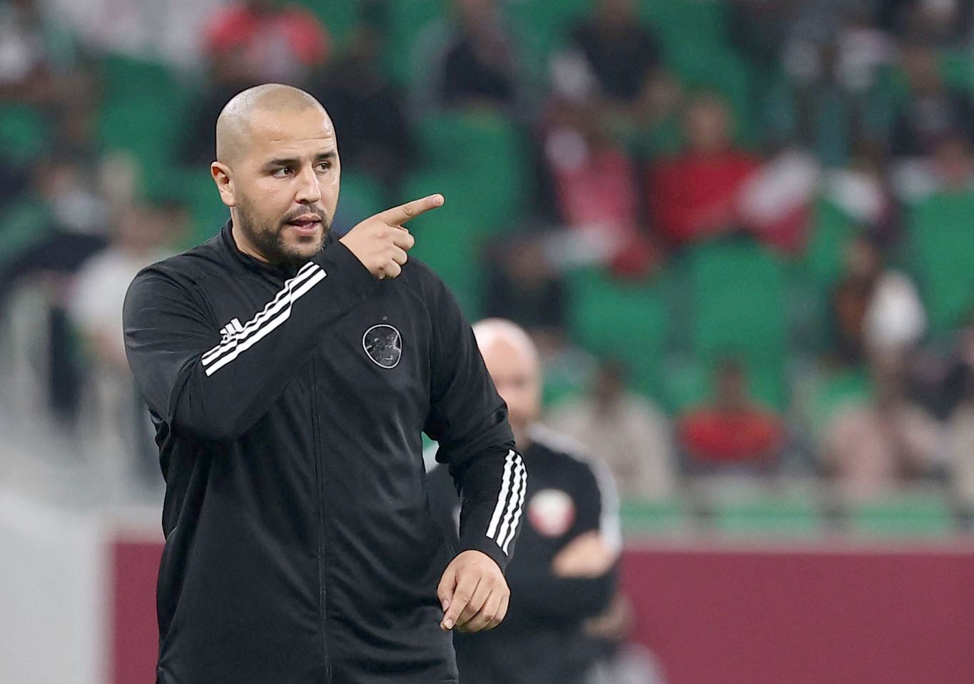 CHAN-2025 : les Verts locaux retenus par Madjid Bougherra